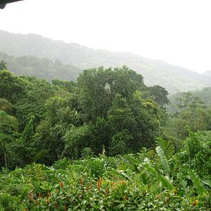 Asa Wright Nature Centre - Trinidad & Tobago