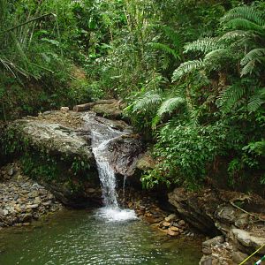 Asa Wright Nature Centre - Trinidad & Tobago
