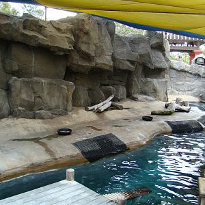 Brown Pelican exhibit at the Los Angeles Zoo