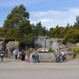 kopje exhibit, Orana Park