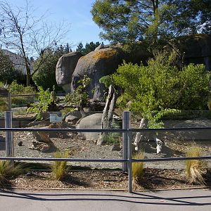 meerkat enclosure, Orana Park
