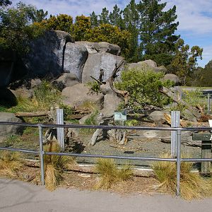 meerkat enclosure, Orana Park