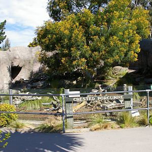 porcupine enclosure, Orana Park
