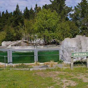 small-clawed otter enclosure