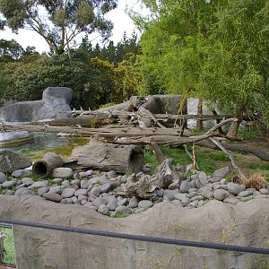 small-clawed otter enclosure