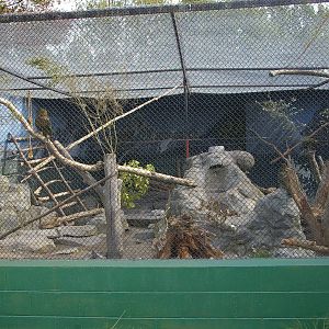 kea aviary, Orana Park