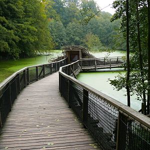 Bielefeld Tierpark Olderdissen - catwalk through beaver/Nutria enclosure