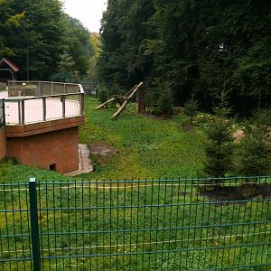 Bielefeld Tierpark Olderdissen - Wolverine enclosure