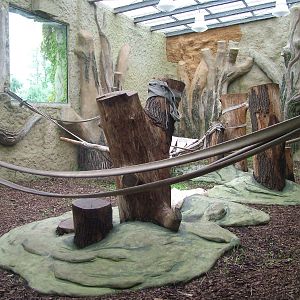 Indoor gorilla enclosure at Opole Zoo, Poland 2008