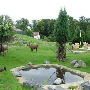 South American enclosure at Opole Zoo, Poland 2008
