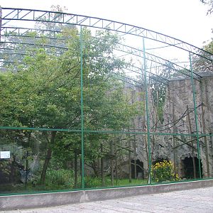 Diana Monkey enclosure at the Old Zoo, Poznan Sept 08