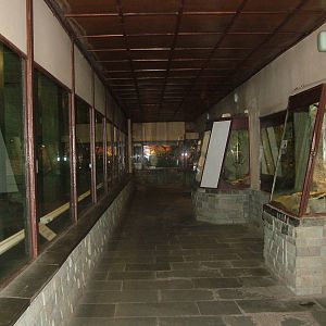 Monkey and Reptile House interior at the Old Zoo, Poznan Sept 08