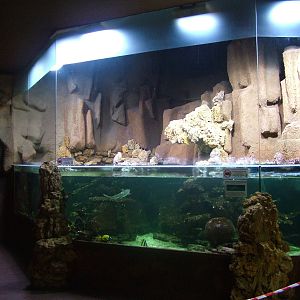 Marine tank at the Old Zoo, Poznan Sept 08