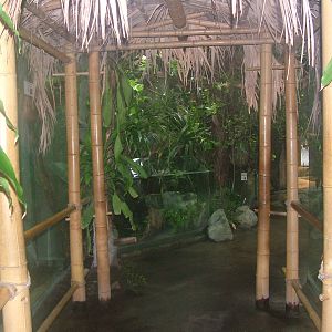 Reptile House interior at the Old Zoo, Poznan Sept 08