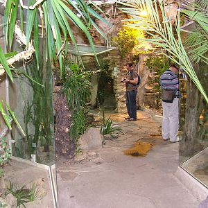 Reptile House interior at the Old Zoo, Poznan Sept 08