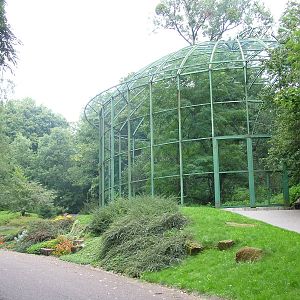 Steller's Sea Eagle aviary at the New Zoo, Poznan Sept 08
