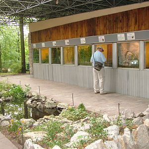 Invertebrate exhibits at the New Zoo, Poznan Sept 08