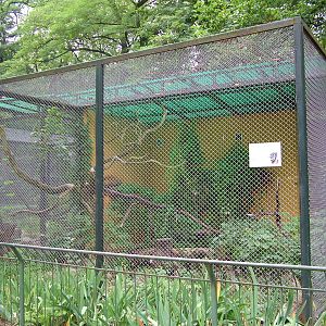 African Palm Civet enclosure at the New Zoo, Poznan Sept 08