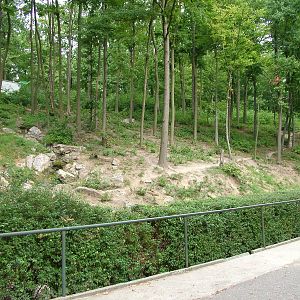 Japanese Macaque enclosure at the New Zoo, Poznan Sept 08