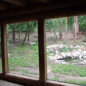 Siberian Tiger enclosure at the New Zoo, Poznan Sept 08