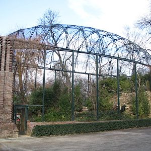 Small Asiatic Aviary