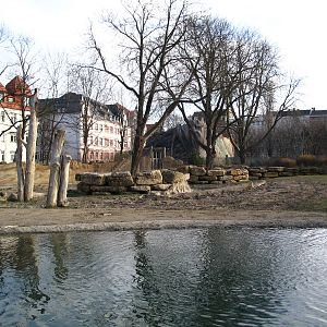Great elephant outdoor enclosure