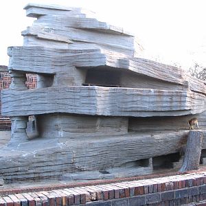 Baboon rock (Papio hamadryas)