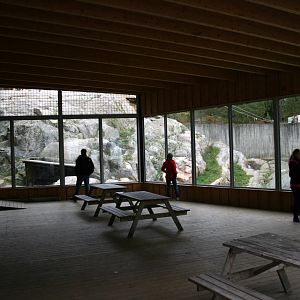 Snowleopard exhibit - Kolmården