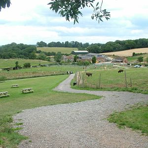 View with Bison paddock at Noah's Ark Zoo Farm 2006