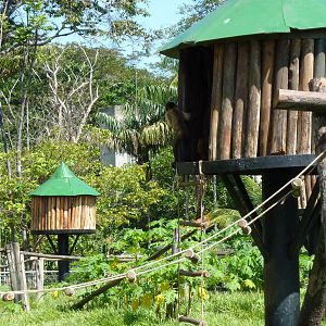 Checking on the neighbours