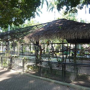 Macaw & waterfowl aviary