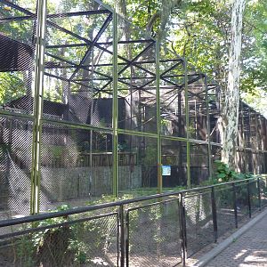 Aviaries