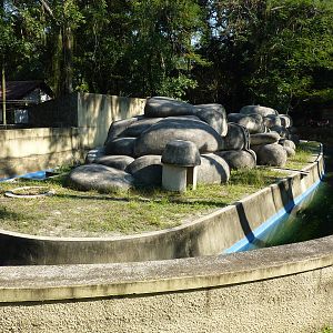 Spectacled bear enclosure