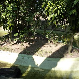 Neotropical river otter enclosure