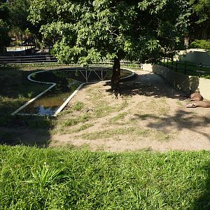 Tapir enclosure