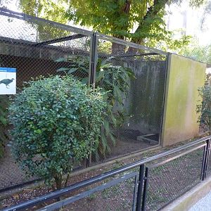 Cracid aviaries