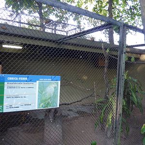 Short-tailed parrot aviary