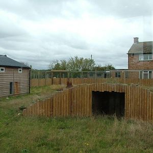 Giant Anteater Exhibit at Hamerton, 08/10/11