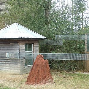 Squirrel House at Hamerton, 08/10/11