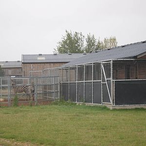 Zebra Enclosure at Hamerton, 08/10/11