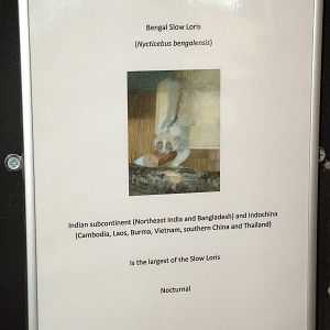 Signage Example at Hamerton, 08/10/11