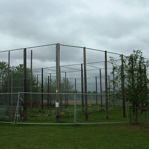 New Aviary Construction at Hamerton, 08/10/11