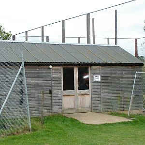 Reptile House at Hamerton, 08/10/11