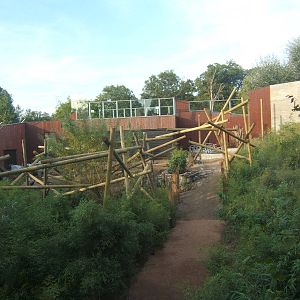 View of old White Tiger enclosure