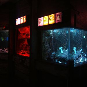 View of exhibits