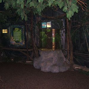 View of Amazona area