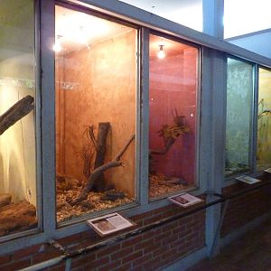 Snake vivaria