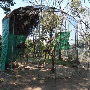 Howler monkey enclosure
