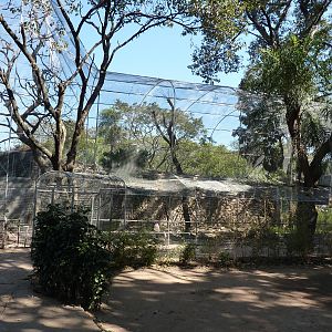 New walkthrough aviary