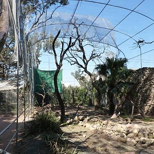 New walkthrough aviary